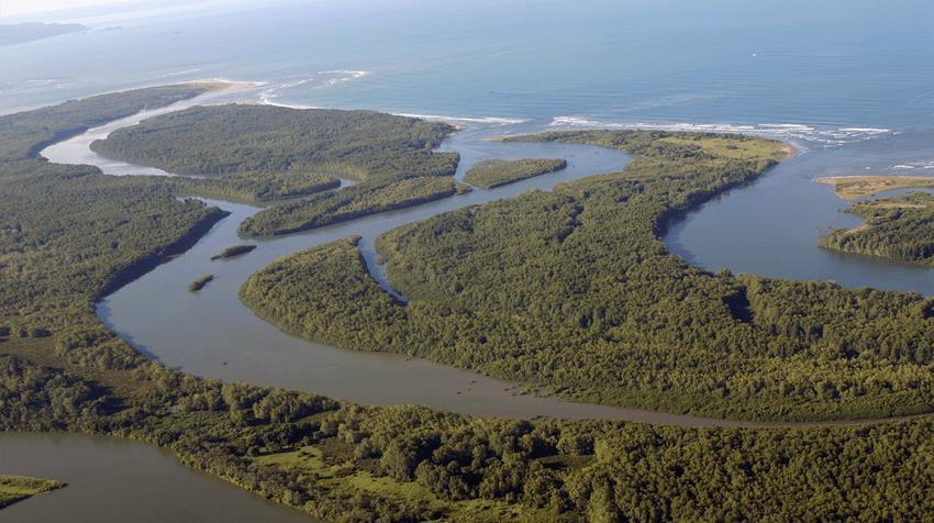 Hotel Sierpe River 外观 照片
