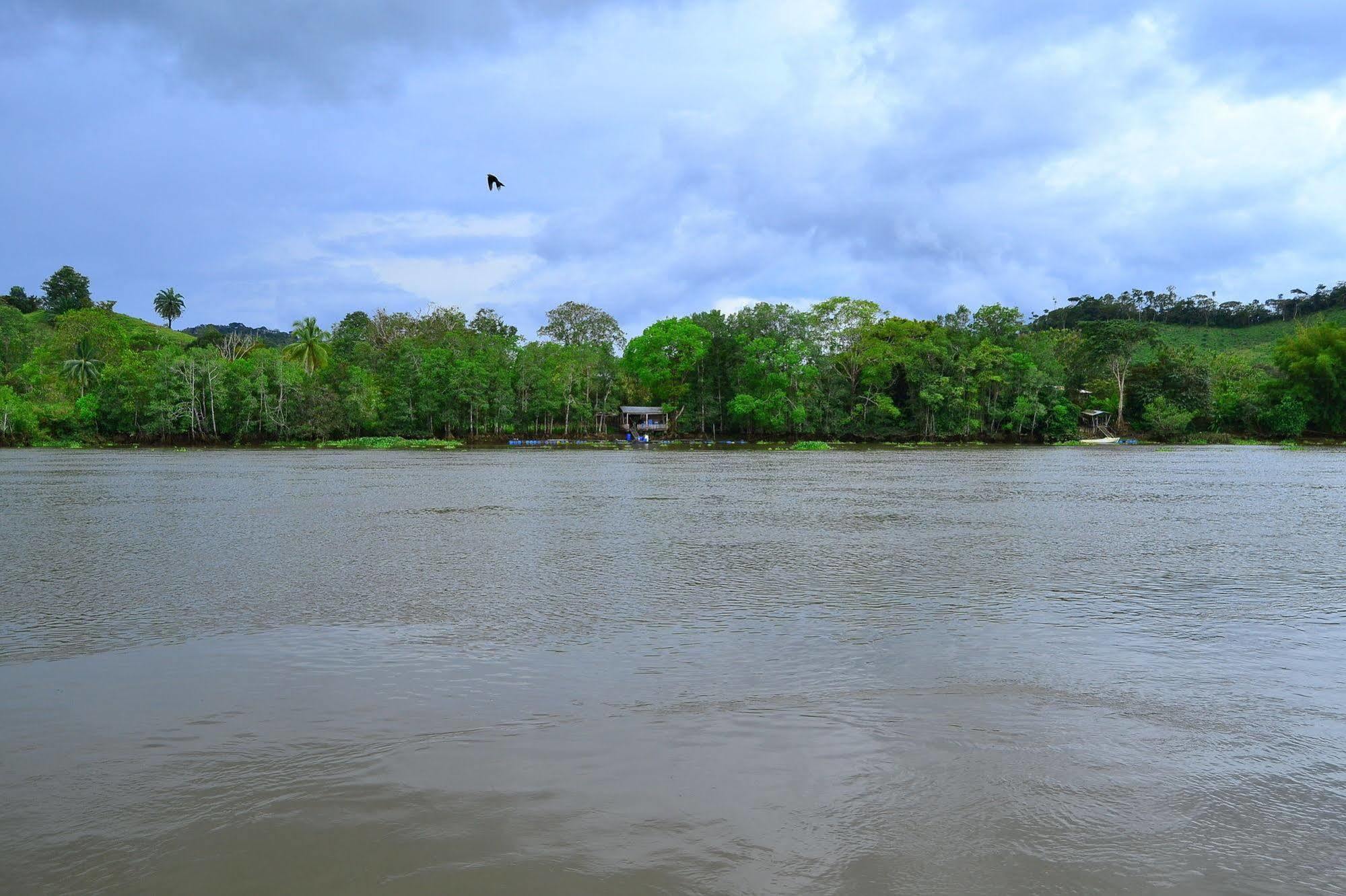 Hotel Sierpe River 外观 照片