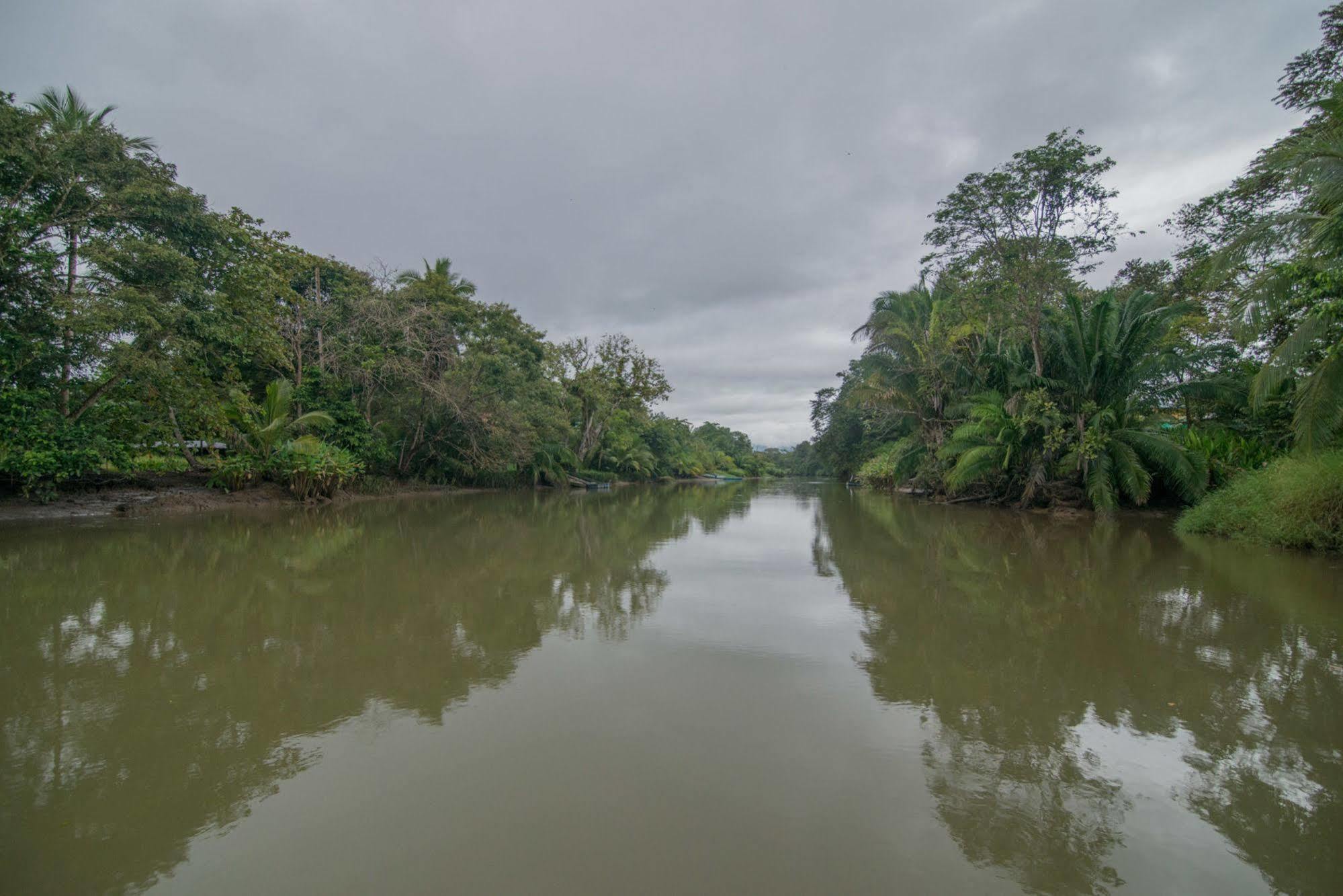 Hotel Sierpe River 外观 照片